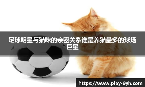 足球明星与猫咪的亲密关系谁是养猫最多的球场巨星